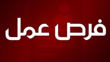   سوهاج تطرح وظائف قيادية لدعم التحول الرقمي