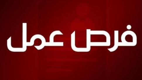 سوهاج تطرح وظائف قيادية لدعم التحول الرقمي