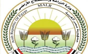   "الزراعة": دعوات الامتناع عن إطعام الكلاب الضالة سلوك مخالف للشرع والقانون