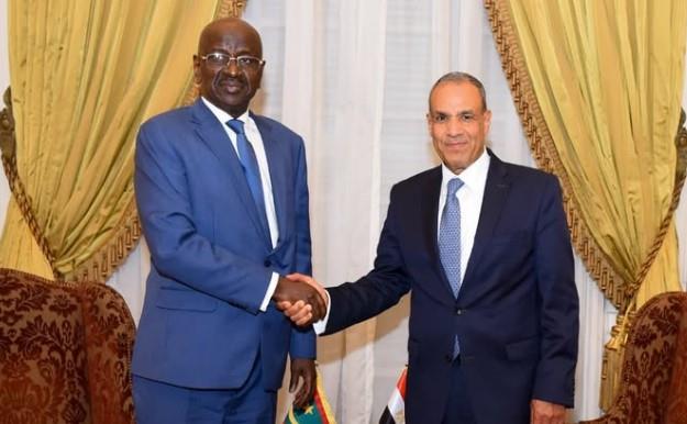 وزير الخارجية ونظيره الموريتاني يؤكدان ضرورة وقف العدوان على قطاع غزة