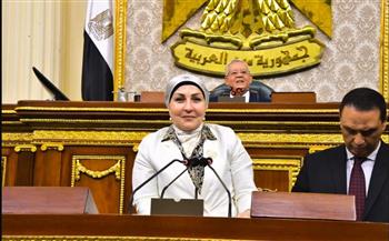   أبو السعد: إشراك القطاع الخاص والمجتمع المدني مفتاح نجاح "السردية الوطنية"