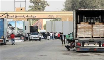   وصول نائب وزير خارجية تركيا ووفد البرلمان إلى مطار العريش