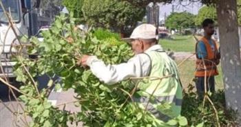  تطوير المسطحات الخضراء بحي ثانِ الإسماعيلية