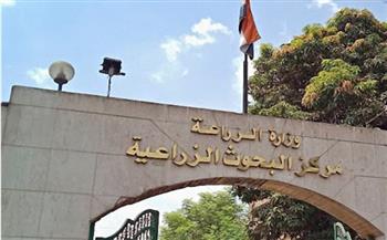   البحوث الزراعية ينظم برنامجًا تدريبيًا بعنوان "تصميم وتحليل التجارب الزراعية باستخدام R"