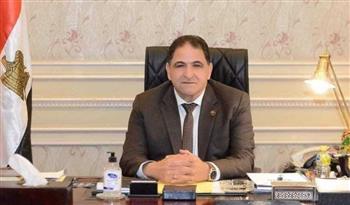    سوس: كلمة الرئيس السيسي بقمة البريكس قدمت رؤية متكاملة ومتوازنة في مواجهة الأزمات العالمية