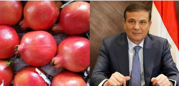 مع بداية 2026.. الزراعة تنجح في فتح سوق الدومنيكان أمام الموالح والرمان