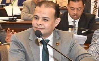 برلماني: توطين صناعة الغزل والنسيج ركيزة للأمن الصناعي وجهود الدولة متواصلة