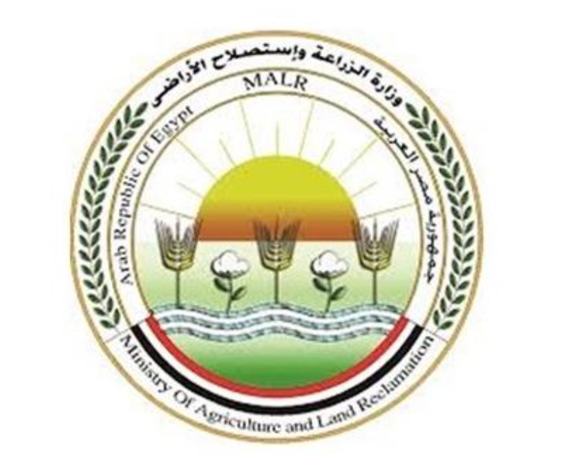 وزارة الزارعة: المواطن سيشعر بنتائج خطة مواجهة الكلاب الضالة خلال 6 أشهر