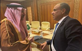   وزير الخارجية ونائب نظيره السعودي يبحثان دعم التعاون المشترك