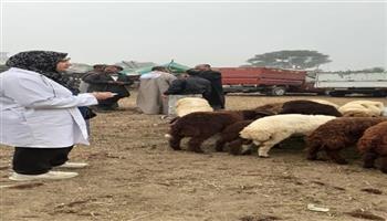   الزراعة.. فرق الترصد الوبائي تطرق أبواب أكثر من 1300 قرية