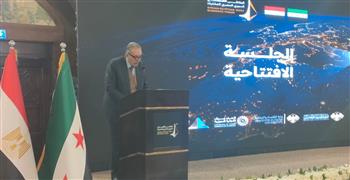   الوكيل: مليار دولار حجم استثمارات 15 ألف شركة سورية في مصر