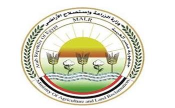   وزارة الزارعة: المواطن سيشعر بنتائج خطة مواجهة الكلاب الضالة خلال 6 أشهر