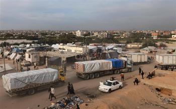   7200 طن من المساعدات الإنسانية تتدفق من مصر إلى غزة