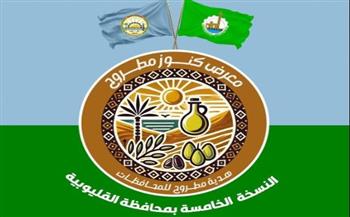   محافظة مطروح تفتح أسواقًا جديدة لمنتجاتها بالقليوبية مطلع فبراير