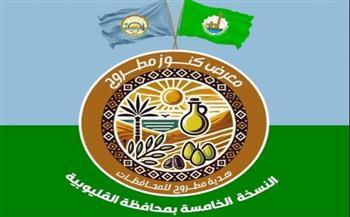 محافظة مطروح تفتح أسواقًا جديدة لمنتجاتها بالقليوبية مطلع فبراير
