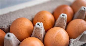 البيض بين الفوائد والشائعات.. هل تختلف قيمته الغذائية؟ وهل يسبب البرد فعلًا؟