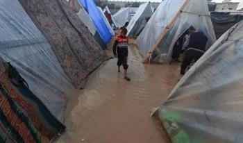   أمجد الشوا: الرياح اقتلعت ما يقرب من 10 آلاف خيمة على شواطئ غزة 