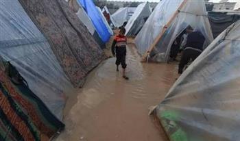 أمجد الشوا: الرياح اقتلعت ما يقرب من 10 آلاف خيمة على شواطئ غزة