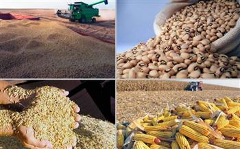   البرازيل تسجل أعلى صادرات زراعية في تاريخها خلال 2025