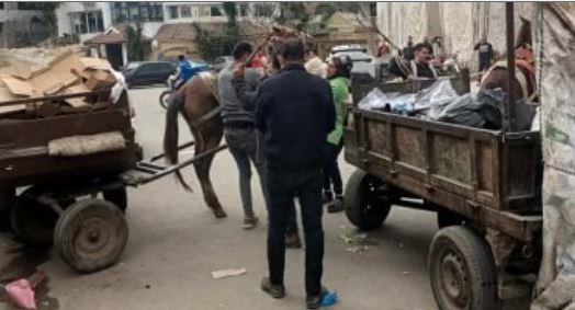 حى ثان الزقازيق يتحفظ على تروسيكلات للتصدى لظاهرة «نباشى القمامة»