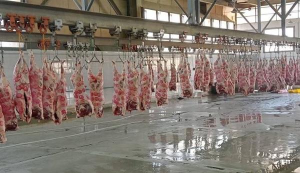 "الزراعة":  المجازر الحكومية استقبلت 705 ألف رأس ماشية خلال النصف الثاني من 2025