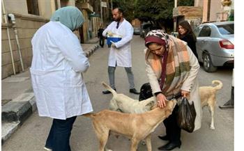   حملة بيطرية بالمنيا لتحصين الكلاب الحرة ضد السعار بعدة مناطق حيوية 
