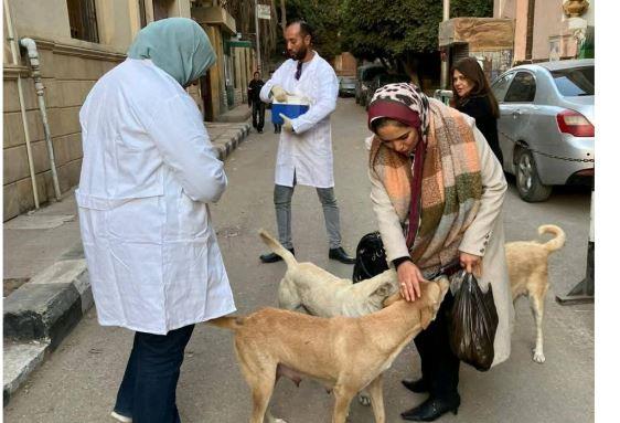 حملة بيطرية بالمنيا لتحصين الكلاب الحرة ضد السعار بعدة مناطق حيوية