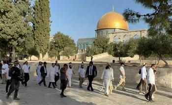   مئات المستوطنين يقتحمون باحات المسجد الأقصى