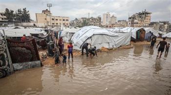 مصر ودول عربية وإسلامية يعربون عن القلق البالغ إزاء تدهور الوضع الإنساني في قطاع غزة