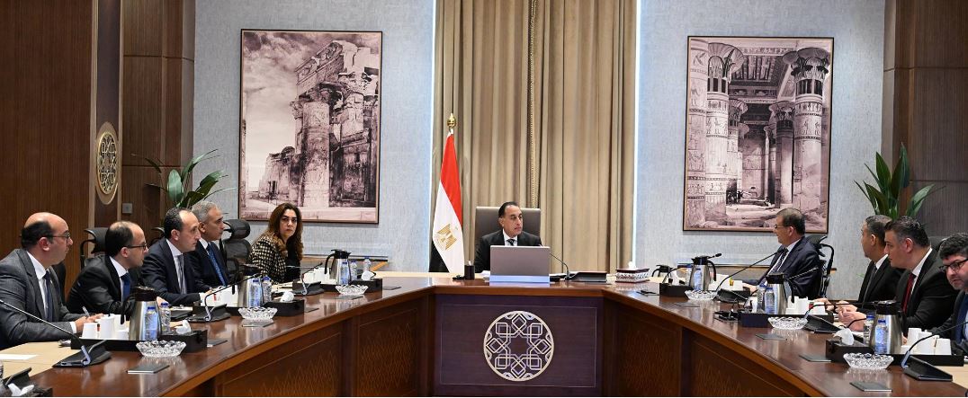 الحكومة: مراكز إيواء للحيوانات الضالة بالمحافظات بعيدا عن الكتلة السكنية