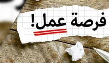    6499 فرصة عمل جديدة في 10 محافظات 