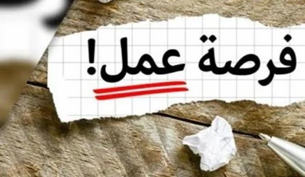 6499 فرصة عمل جديدة في 10 محافظات
