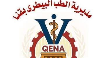 من أجل شوارع آمنة.. تطعيم وتحصين 450 كلبا ضالا ضمن حملات الطب البيطري بقنا