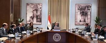   الحكومة: مراكز إيواء للحيوانات الضالة بالمحافظات بعيدا عن الكتلة السكنية