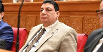  نصر الله: لقاء السيسي وترامب في دافوس يؤكد مكانة مصر ودورها المحوري في المنطقة