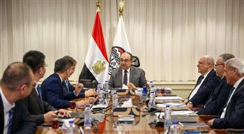   وزير قطاع الأعمال يبحث التعاون مع شاندونج الصينية في صناعة المركبات الكهربائية