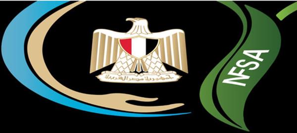 سلامة الغذاء: تصدير 210 آلاف طن مواد غذائية فى أسبوع