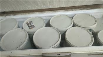   تموين الاسكندرية  تضبط ما يقارب من نصف طن أنواع مختلفة من الجبن مجهول المصدر              