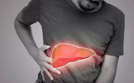 الكبد الدهني دليلك لتنشيط مايسترو الجسم واستعادة صحتك