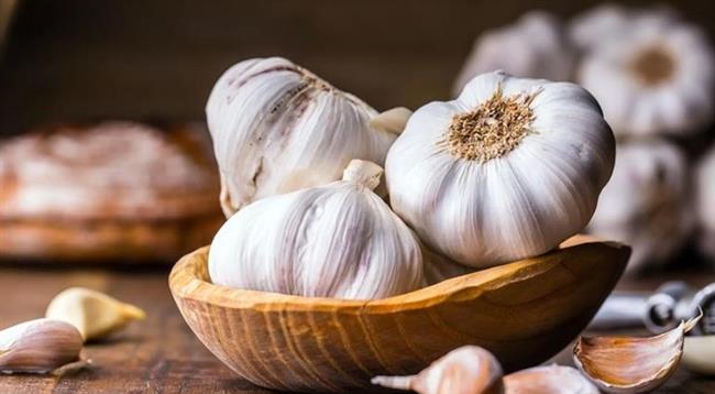 فوائد تناول الثوم النيئ على الريق صباحا