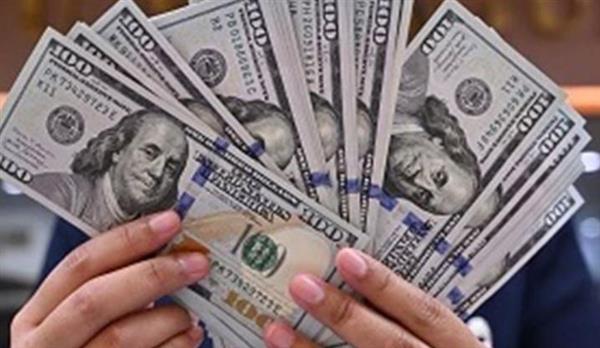 استقرار سعر الدولار اليوم دون تغييرات ملحوظة