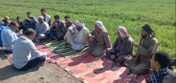 زراعة قنا تنظم مدارس حقلية لمزارعي القمح لتعزيز الأمن الغذائي ورفع الإنتاجية