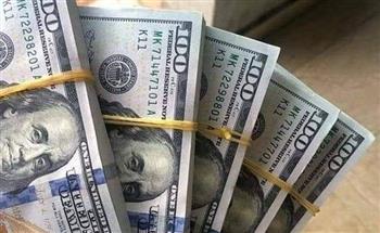   استقرار سعر الدولار اليوم وسط هدوء نسبي في السوق