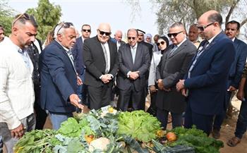   الجامعة البريطانية في مصر تدشن مشروعًا بحثيًا لتحويل المخلفات الزراعية إلى علف حيواني