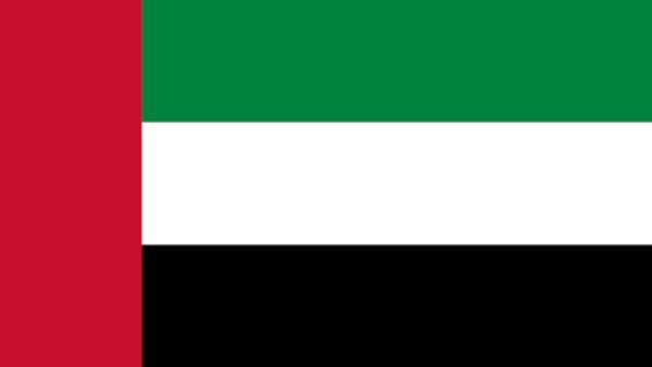 الإمارات تدعو اليمنيين إلى وقف التصعيد وتغليب الحكمة والحوار