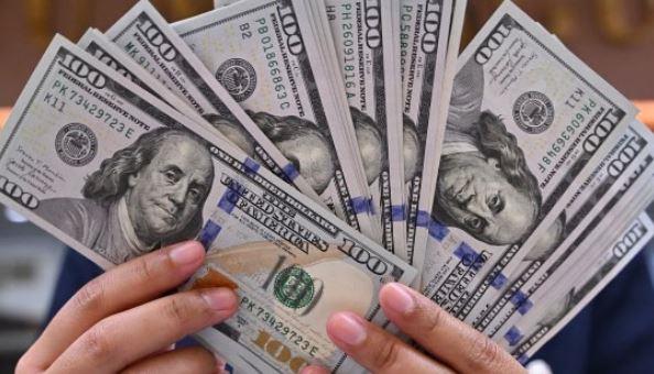 الدولار يواصل الاستقرار بالبنوك المصرية