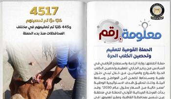   تحصين 4517 كلبا ضد مرض السعار وتعقيم 445.. إنفوجراف