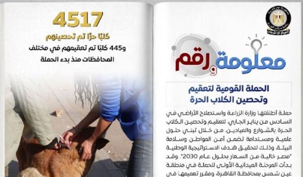 تحصين 4517 كلبا ضد مرض السعار وتعقيم 445.. إنفوجراف