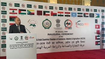 أبوالغيط: الجامعة العربية تعمل على تهيئة بيئة داعمة لإقامة شراكات استراتيجية