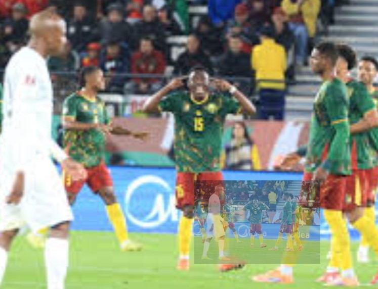 منتخب الكاميرون يفوز 2-1 على جنوب أفريقيا ويواجه المغرب فى ربع نهائى أمم أفريقيا